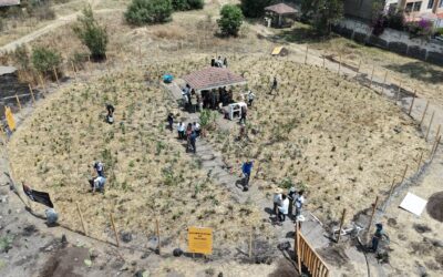 Primer Bosque Miyawaki en Neza