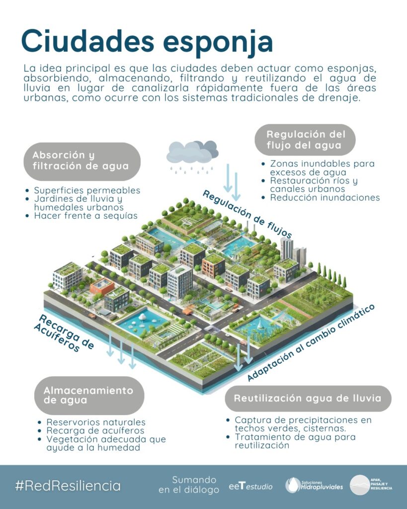 explicacion ciudades esponja