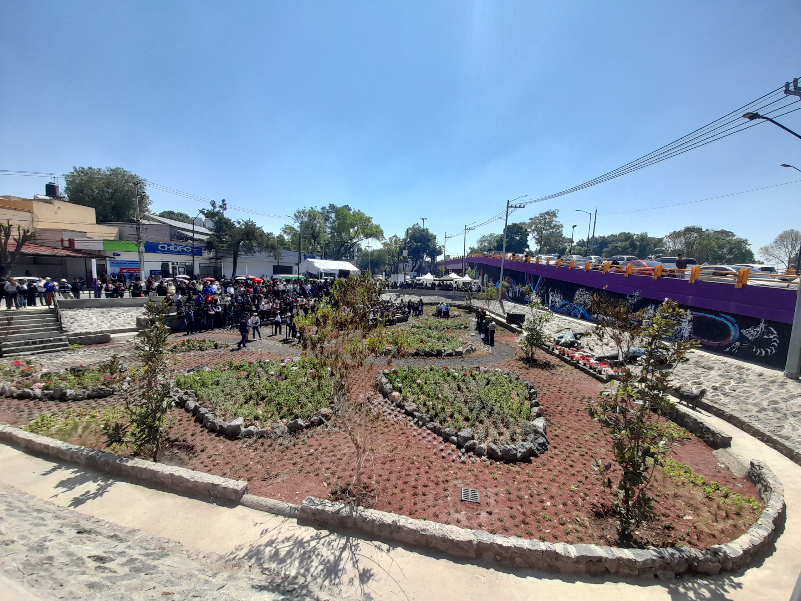 Jardín de lluvia Coapa