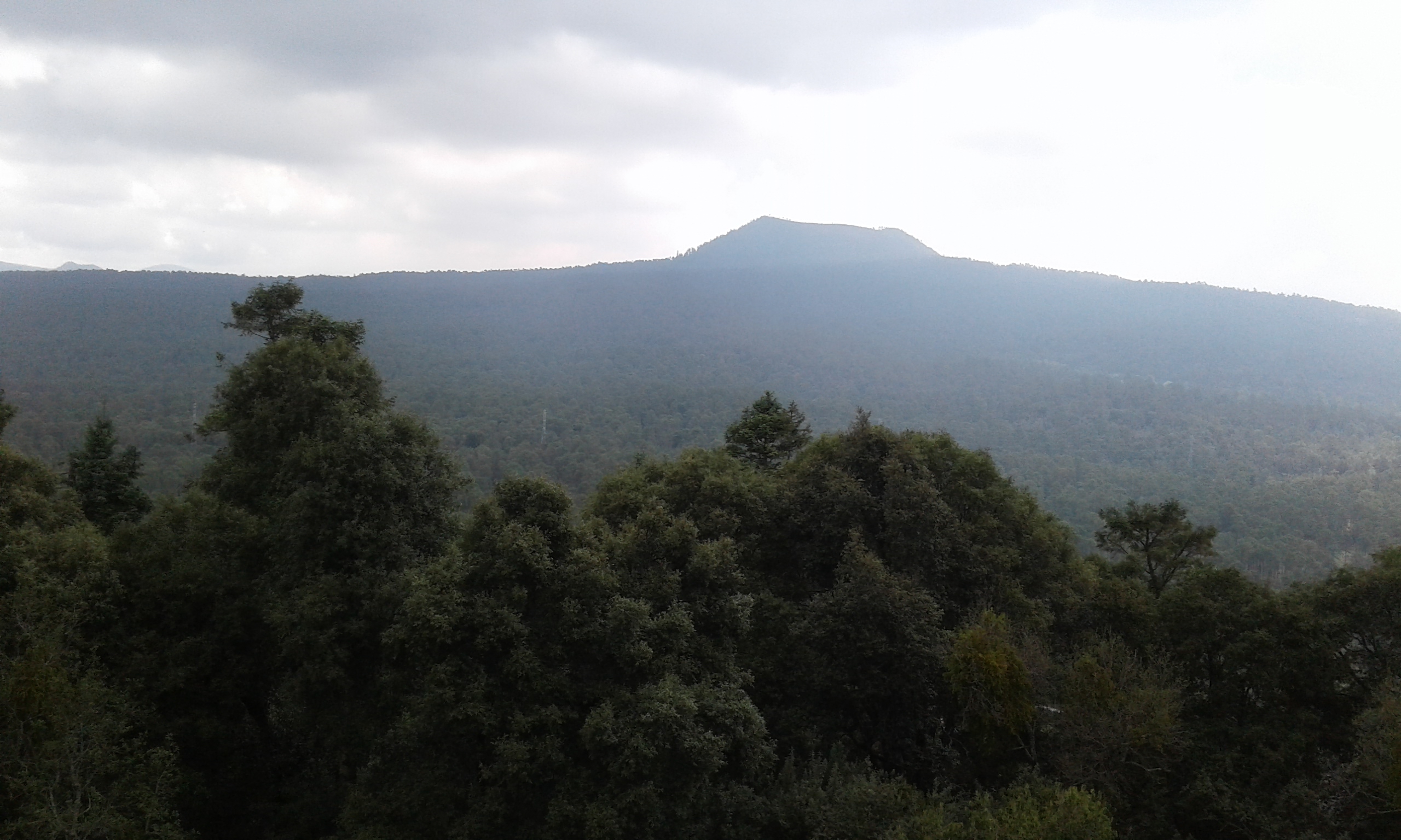 recuperación de ecosistemas