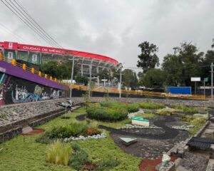 jardín de lluvia 