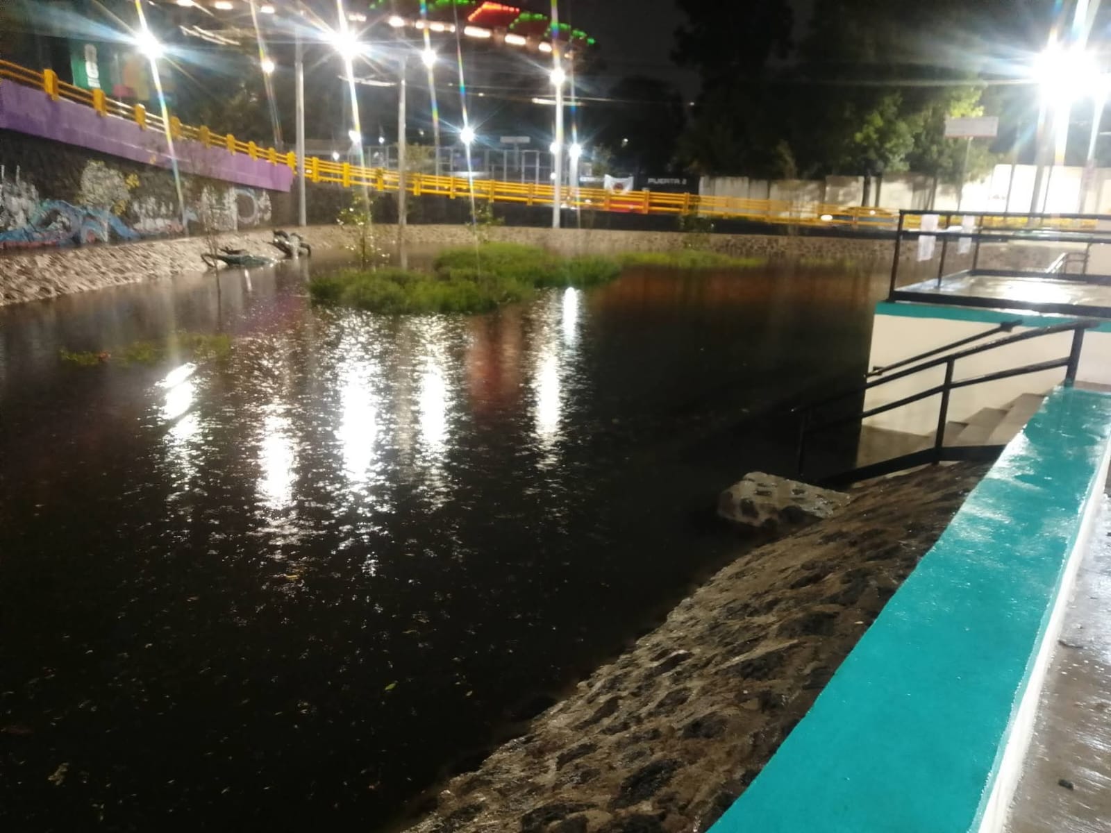 jardín de lluvia inundado