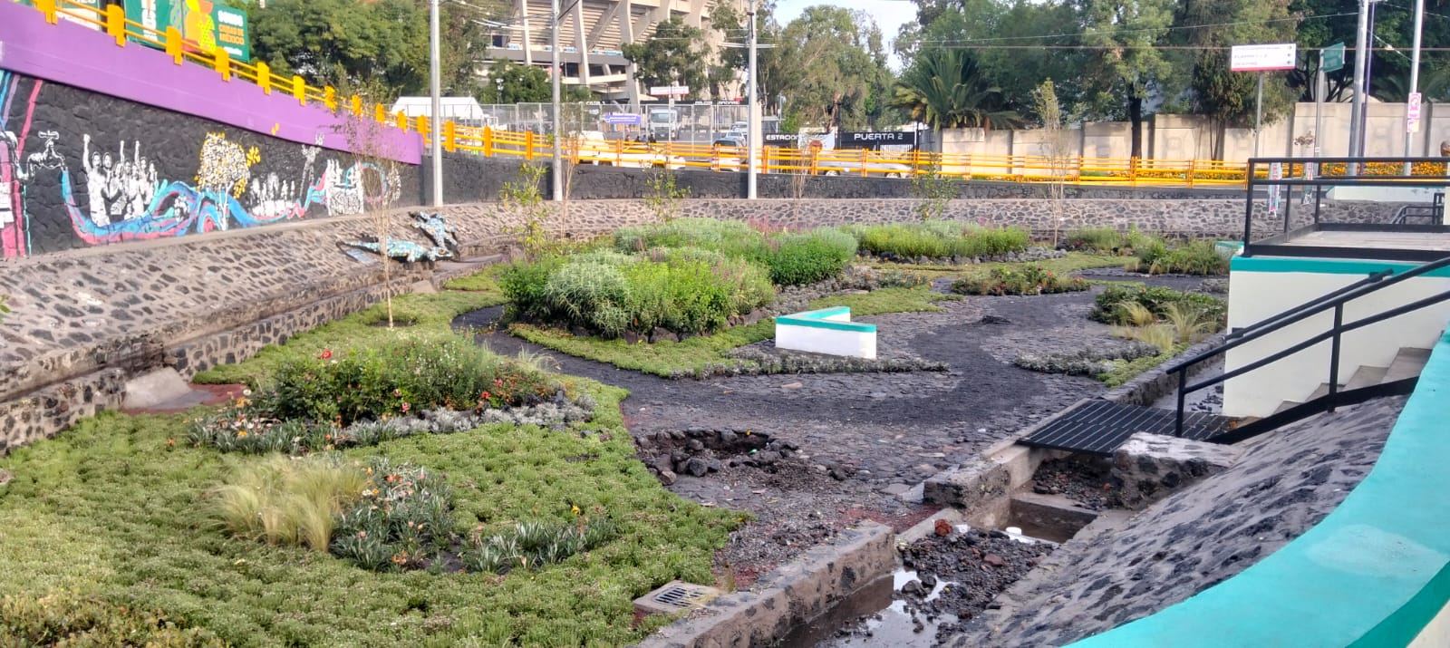 jardín de lluvia después de la tormenta